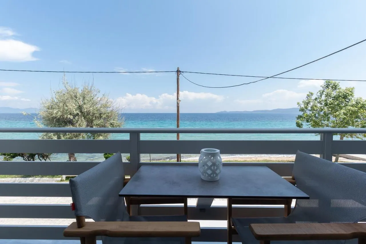 Golden Seaside 1 Apartment Nea Roda
